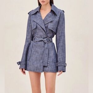 Alexis Blue Mini Dress